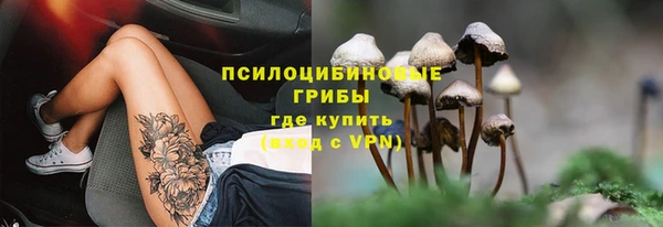 ALPHA PVP Арсеньев