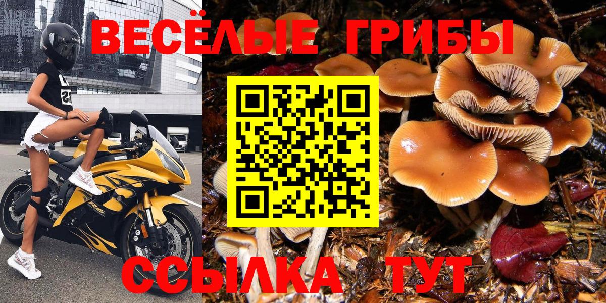Псилоцибиновые грибы мухоморы Елабуга