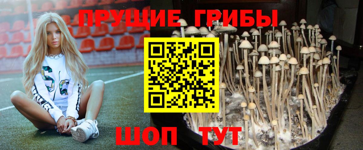 Галлюциногенные грибы Magic Shrooms  Галлюциногенные грибы мицелий  купить наркотики цена  Вход с VPN  Елабуга 